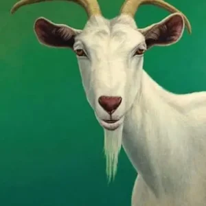 Goats Milk Soap
